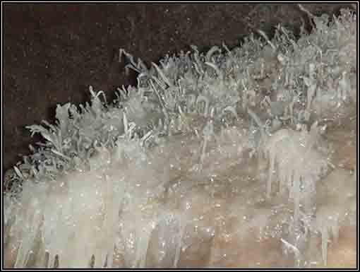 vermicelles de calcite