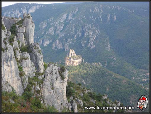 lozere nature paysage grands causses